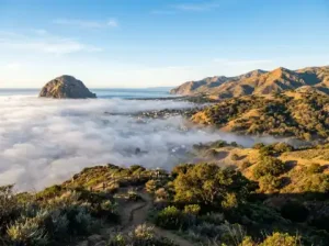 Ocean fog over coastal town