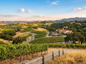 visual of Paso Robles