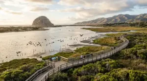 central coast panoramic view